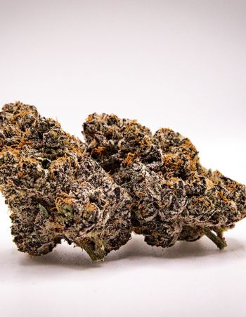 Black Cherry Gelato cannabis flower