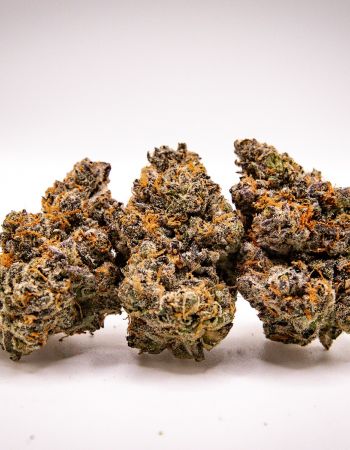 Purple OP Cannabis flower