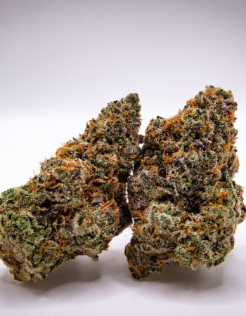 Papaya Runtz cannabis flower