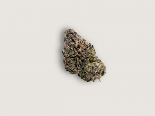 Black Cherry Gelato cannabis flower