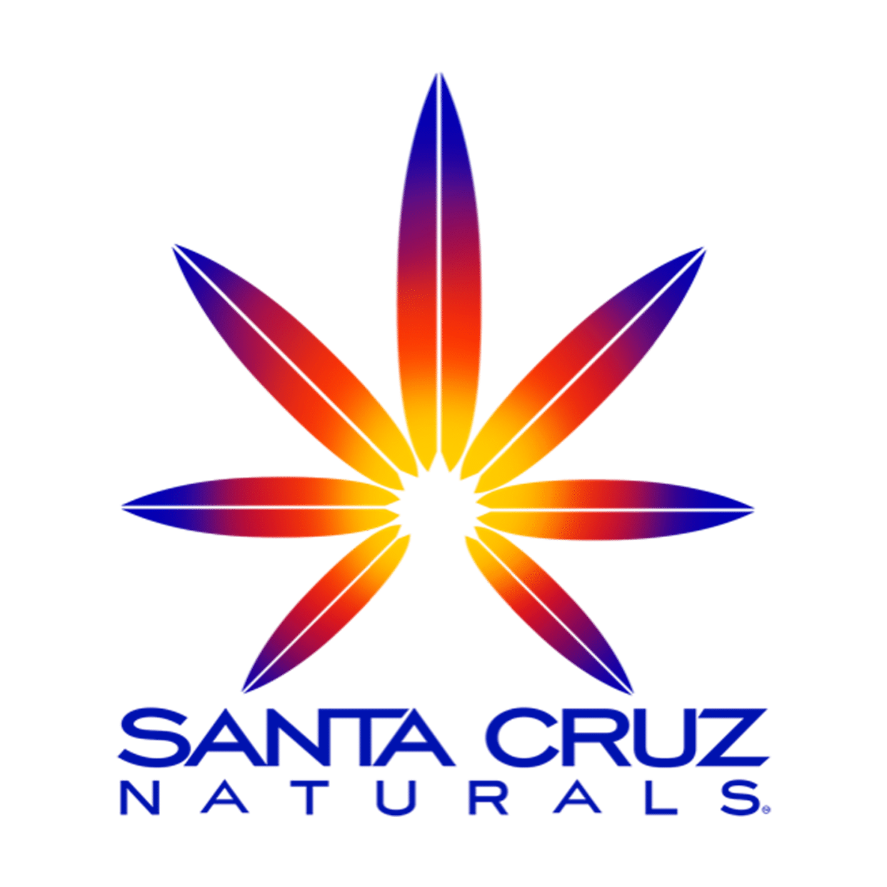 SANTA CRUZ NATURALS logo bright colorful