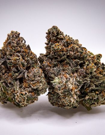 Oreoz Blizzard cannabis flower