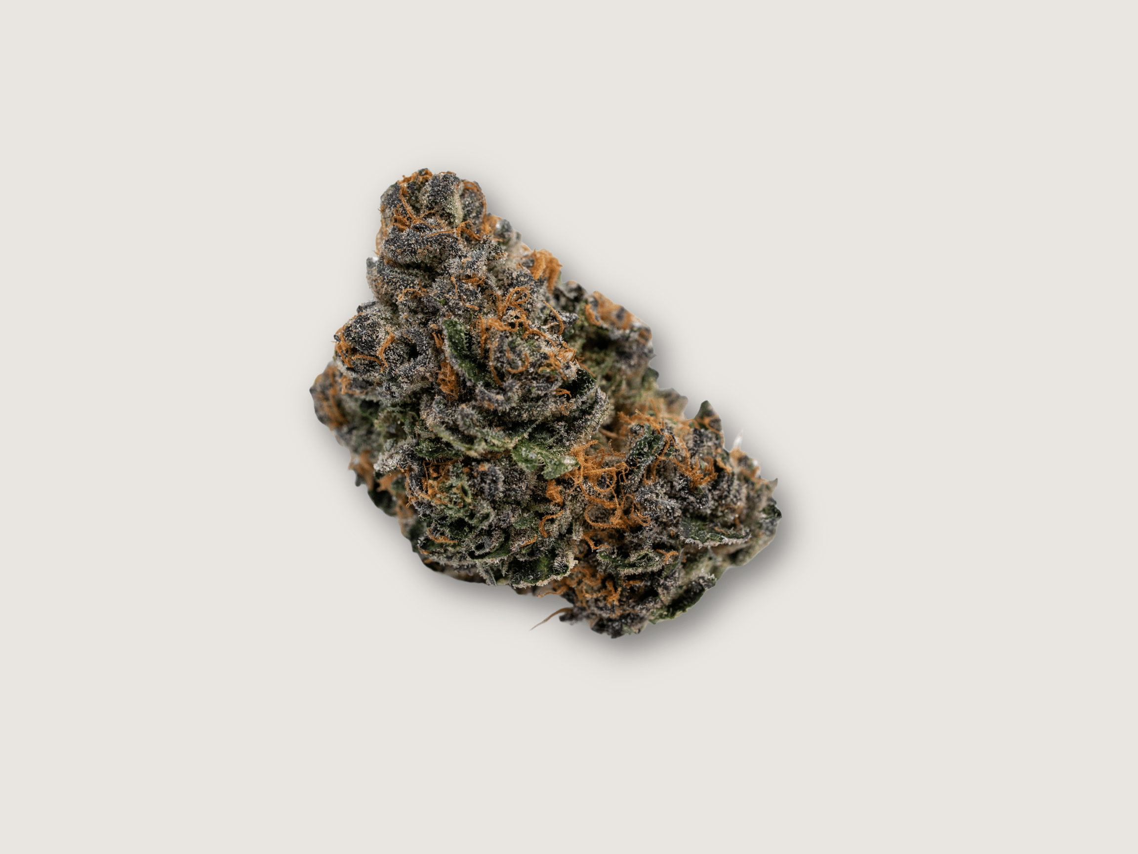 Highlighter - CannaBay: Discover Central Coast Cannabis From