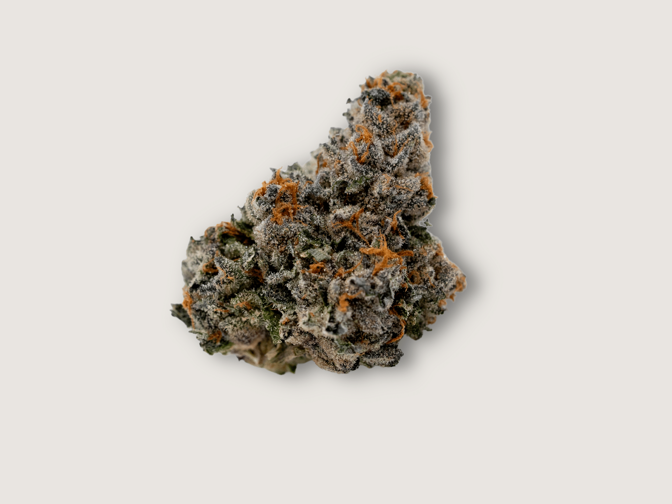 Gelato Mints CannaBay Discover Central Coast Cannabis From Moss